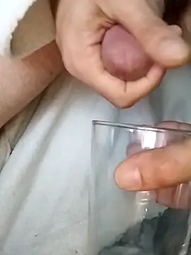 LoGanDiamondn Webbikameraesitys