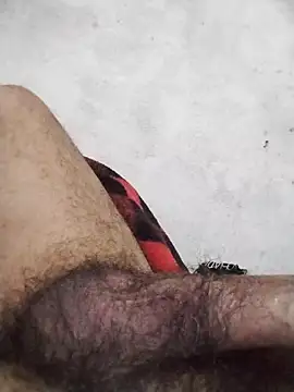 عرض كام salimbasha