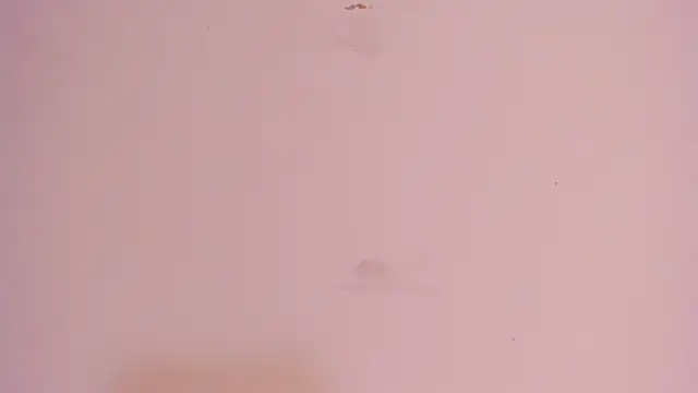 dakota_rage live XXX chat