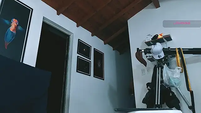 SilvaBranko webkamerás műsora