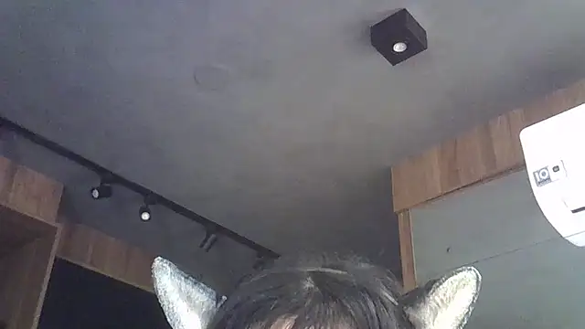 Show de webcam de SkinnyKitten