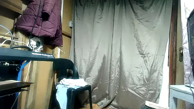 Camodick 网络视讯表演