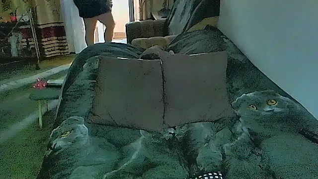 Chat XXX ao vivo de sex2