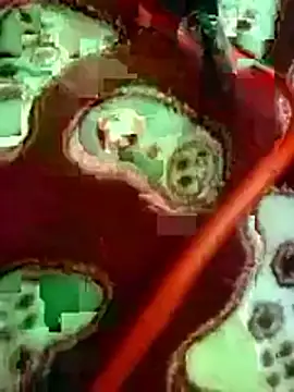 ParlousCarpet Webcam-Show