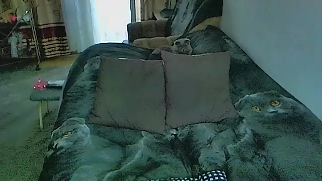 Chat XXX en directo de sex2