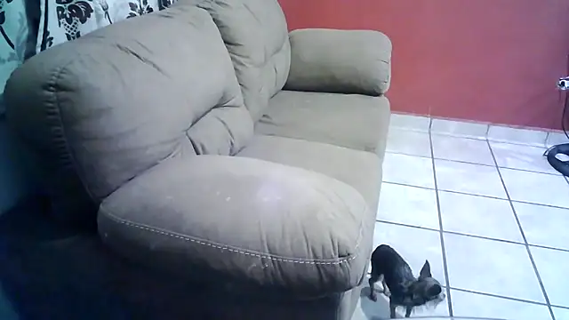 Chat +18 de Benjacabo ao vivo