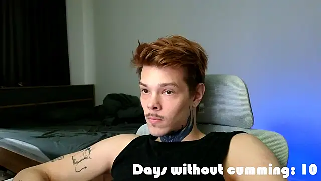 DENIS_HERE 웹캠 쇼