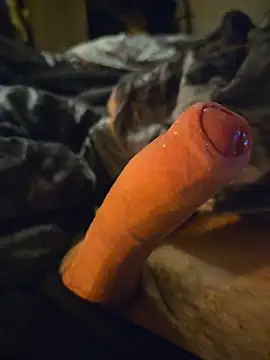 Show webcam de ruffuuss