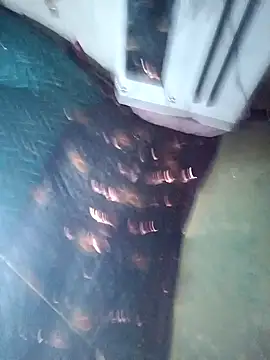 Lona2525 Pertunjukan Webcam