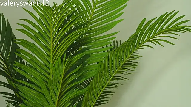 Valery_Swan1's Webcam Show