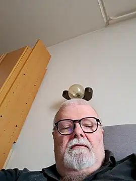 petvarad webcam show