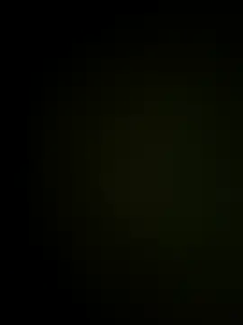 Show webcam de TAMI61