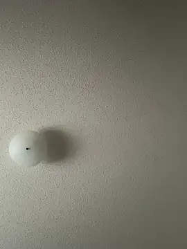 Pokazy przed kamerką – tommattsonn