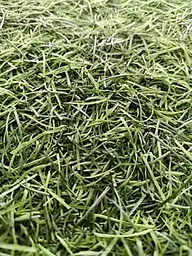 Webkamerová show X-boy-11