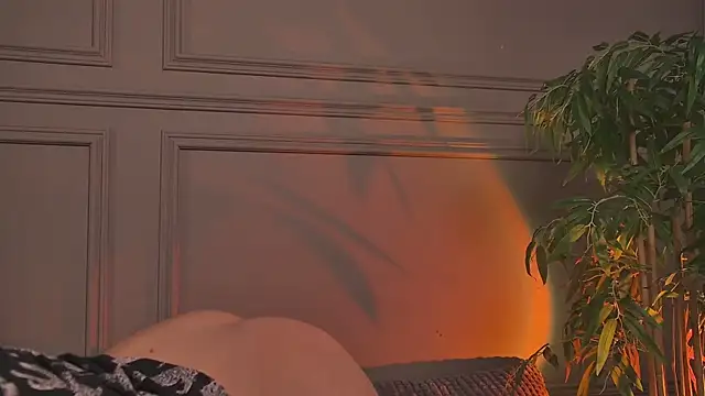 AriWild 라이브 XXX 채팅