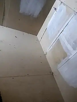 alber907 网络视讯表演