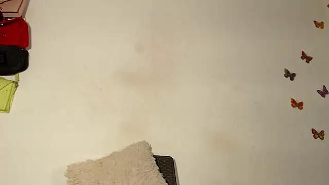 Show Webcam de angelicatsx