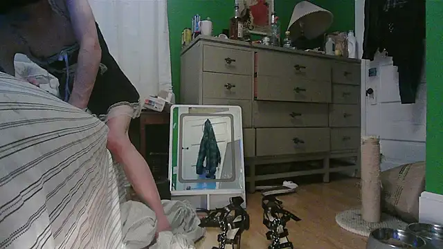 Pertunjukan Kamera Web SadCatDaddy