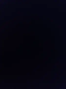 LustyDanky Live XXX Chat