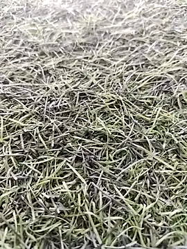 Chatroom XXX en direct de X-boy-11