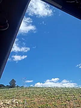 Hot-Muci live XXX chat