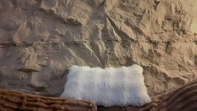 GenesisCastillano 라이브 XXX 채팅