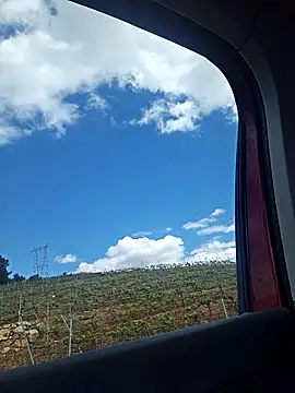 Czat XXX na żywo – Hot-Muci