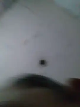 cobrosdepagos – Kamerová šou