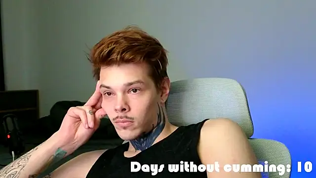 DENIS_HEREn Webbikameraesitys