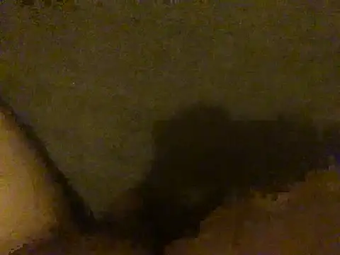 omonakaのウェブカメラショー