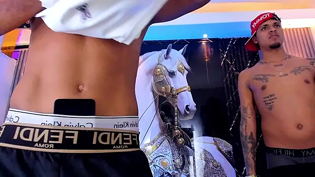 Вебкам-шоу the_knights_of_the_night_