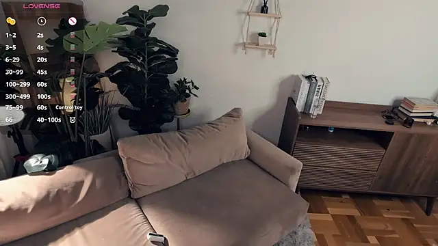 Show webcam de LaureMestler