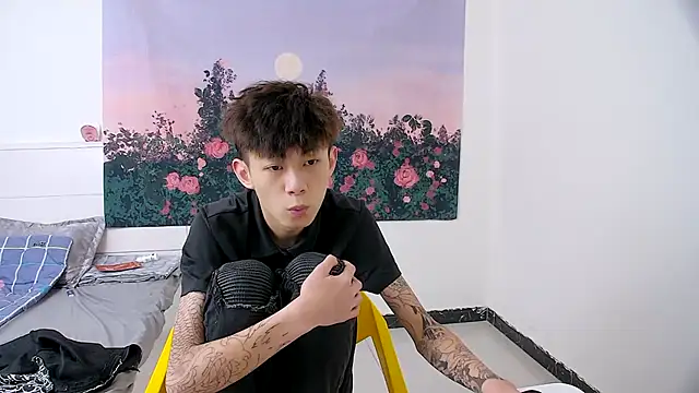 Show modela paofu-001 na web-kameri