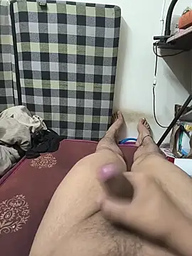 Show webcam de MrToxxic