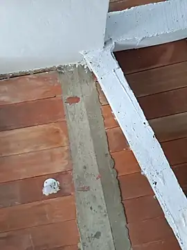 Cataleya_jaのライブXXXチャット