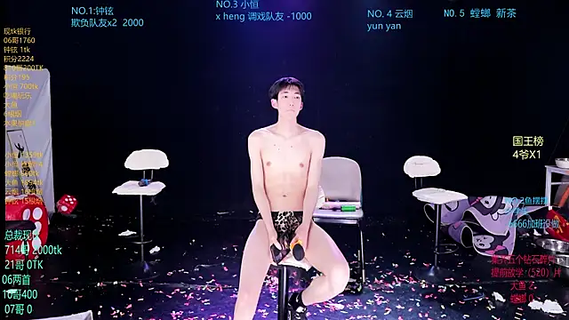 RJ-01n Webbikameraesitys