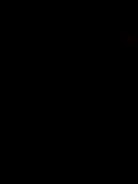 Pertunjukan Kamera Web DomDix