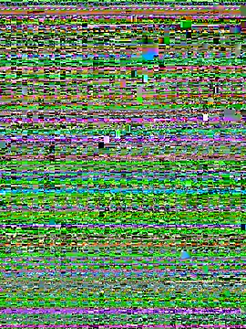 DasmannlicheModel Show Webcam