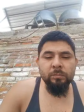 BustedCall 即時 XXX 聊天