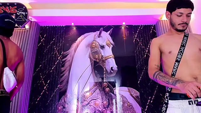 the_knights_of_the_night_ Webcamshow