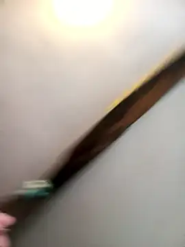 Lm-Schwanzのウェブカメラショー