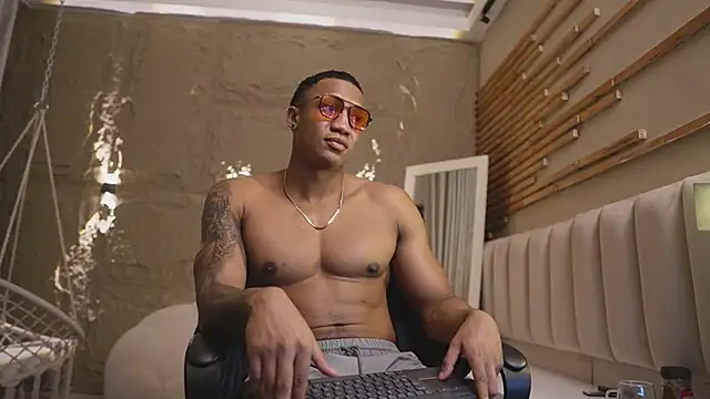 Logan_Varelan Webbikameraesitys