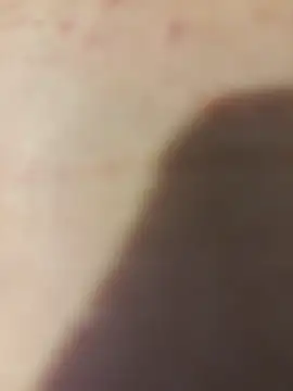 junjun220n Webbikameraesitys