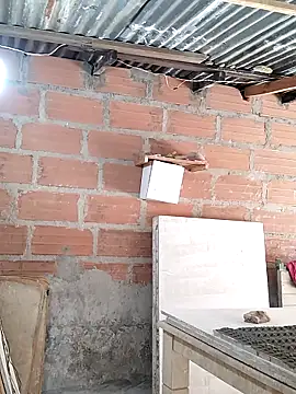 عرض كام hoteder