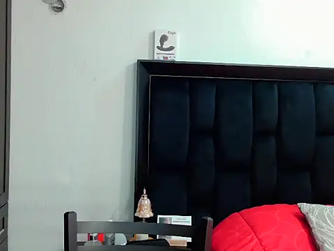 Philip_Reid_ Show in webcam