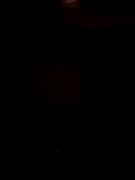 Severimmseni Webcam-Show