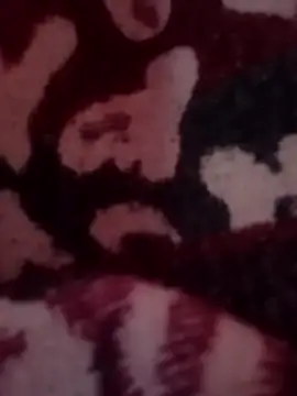 Diegoflorez01 – webcam-show