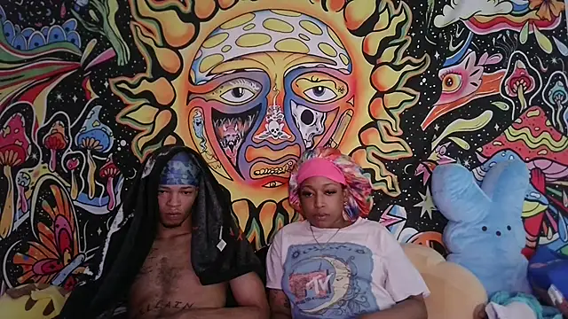 Pokazy przed kamerką – stellakobra