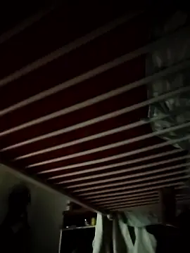 Show de webcam de CattingSample