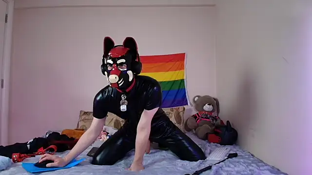 K9_GoodBoy: διαδικτυακό σόου στην κάμερα